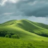 greenhill83