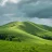 greenhill83